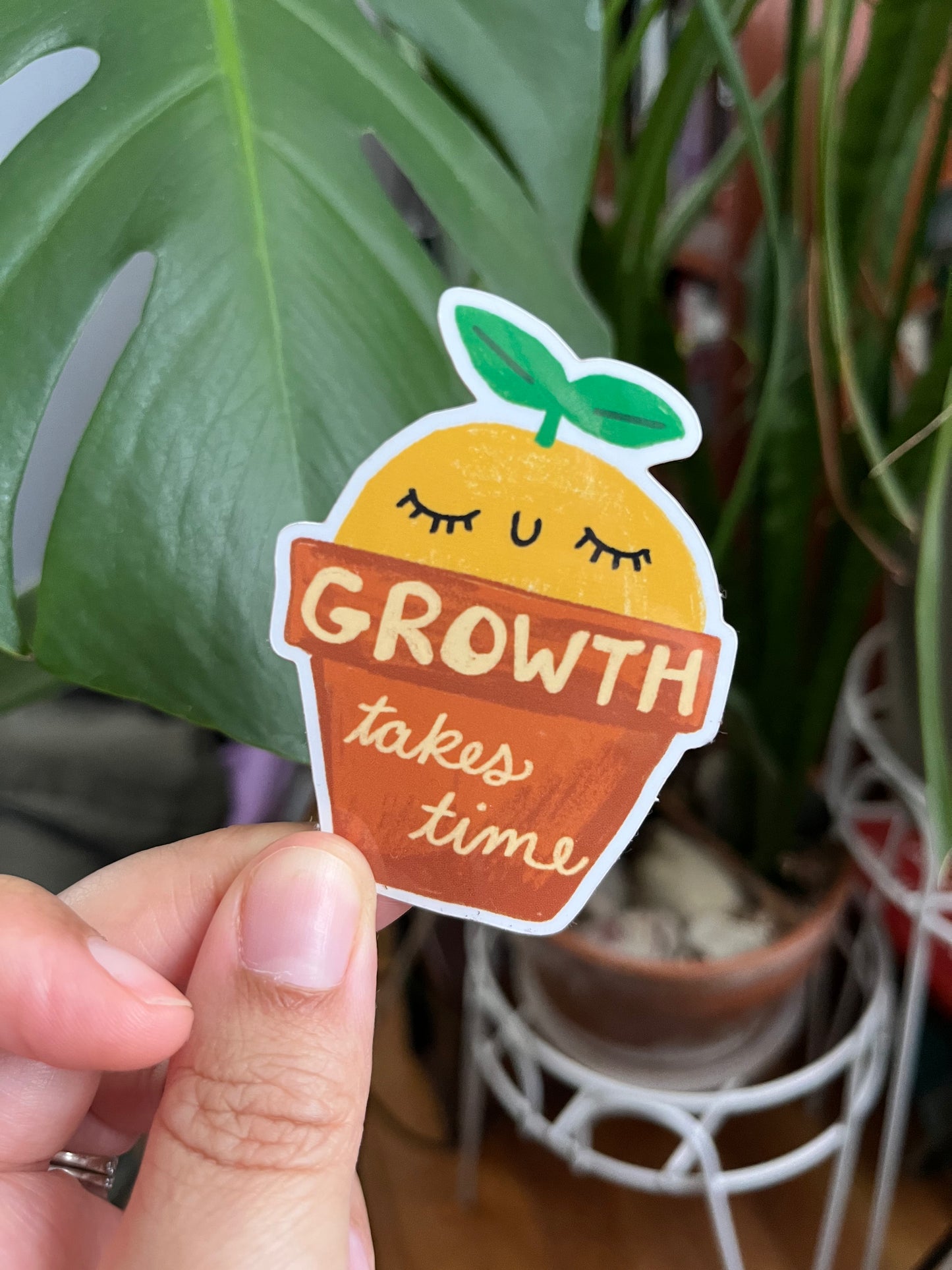 Growth Takes Time Vinyl Sticker