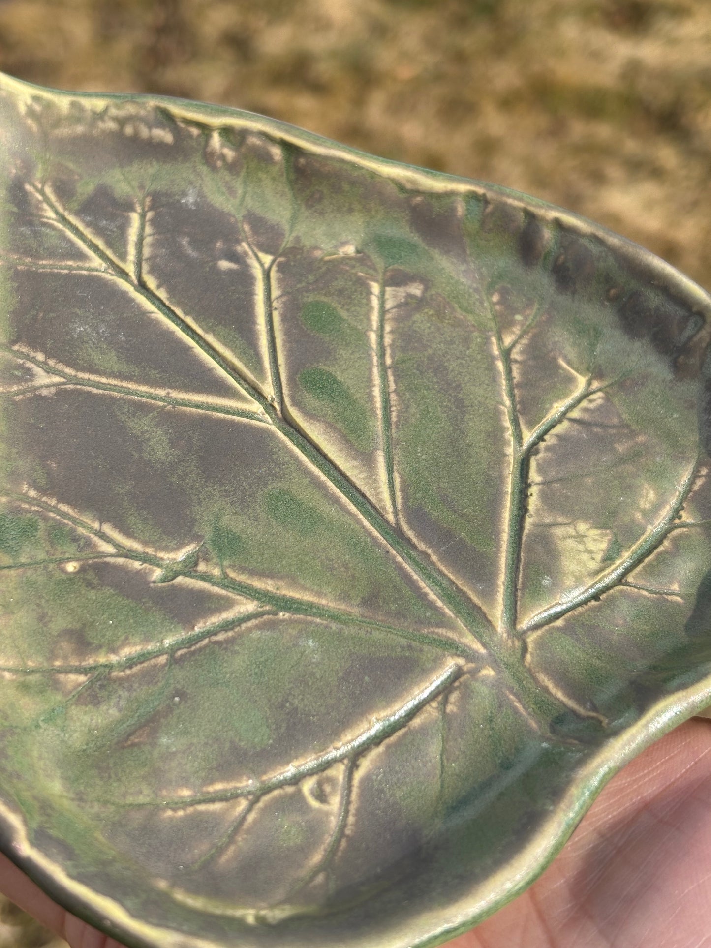 Leaf Plate