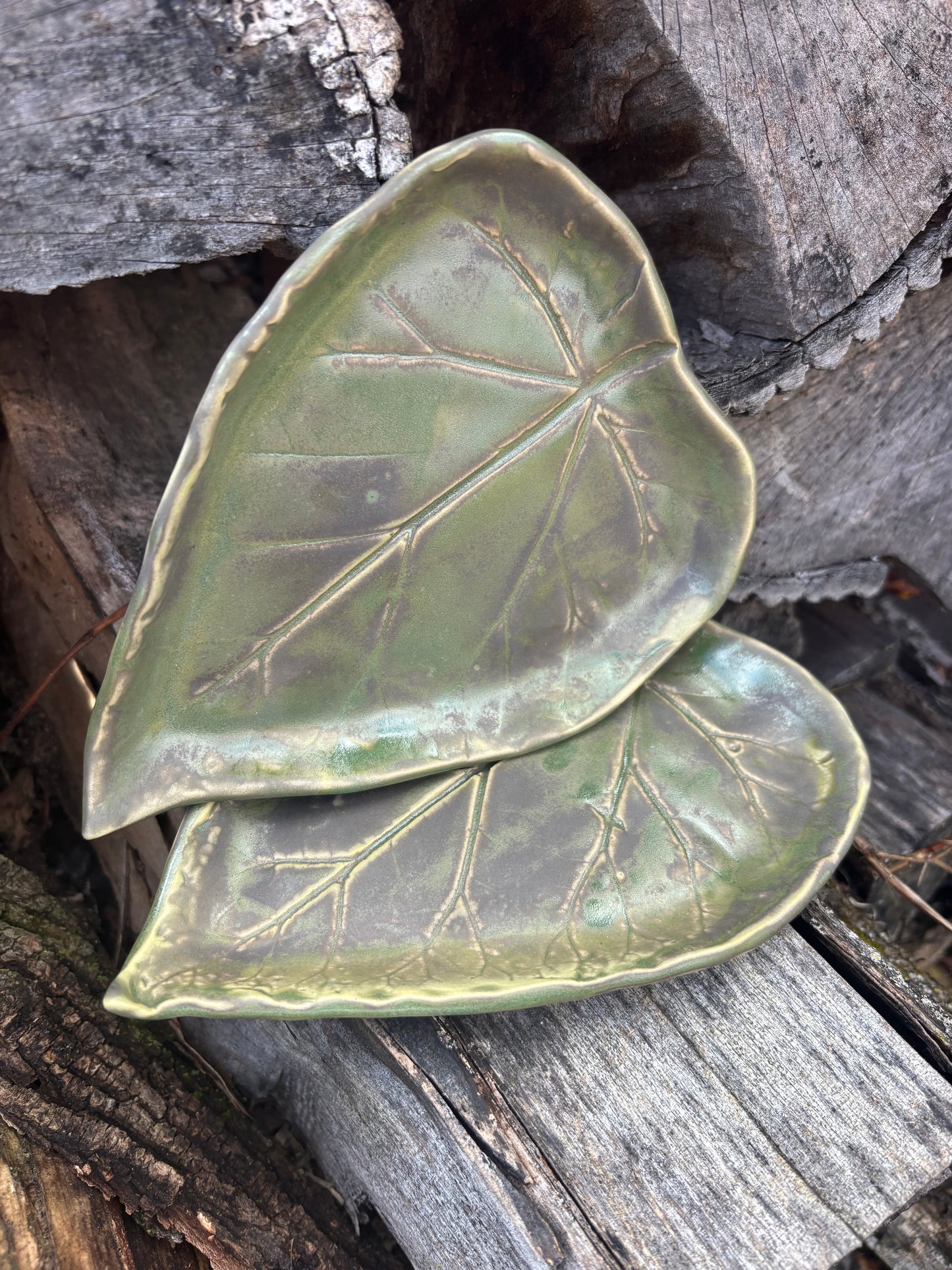Leaf Plate