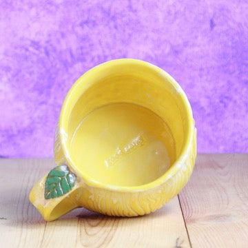 Soup Mug