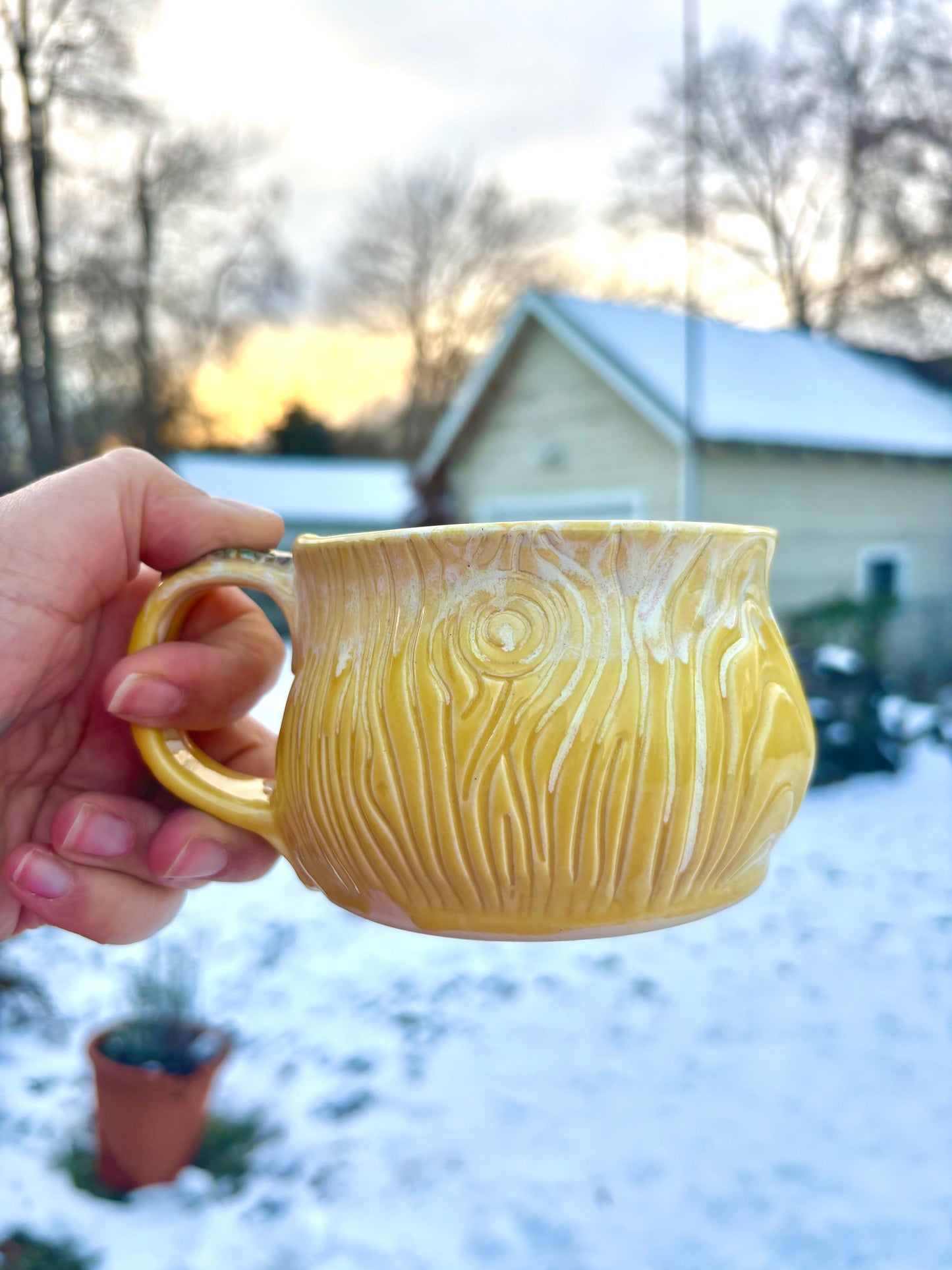 Soup Mug