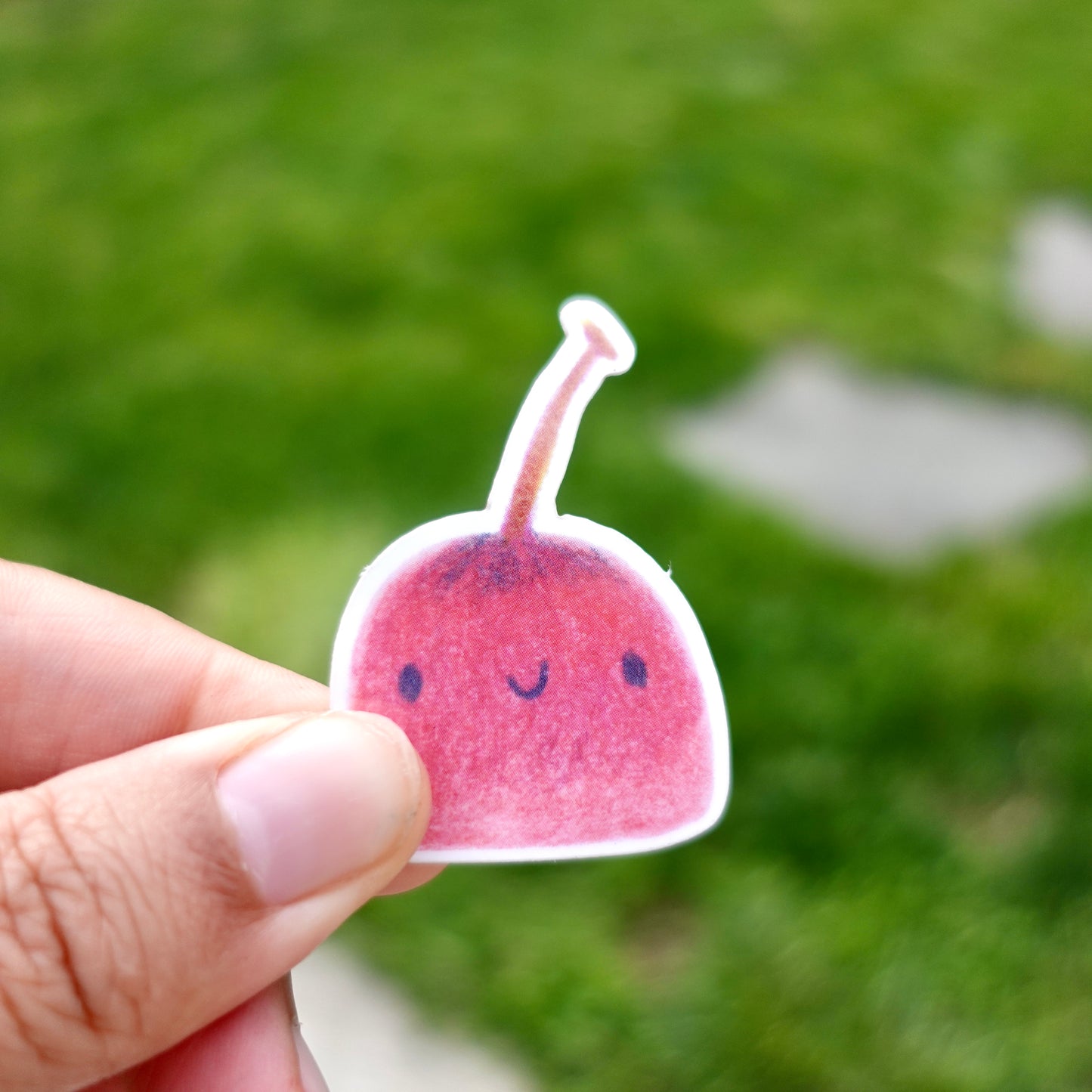 Fruit blob Sticker set